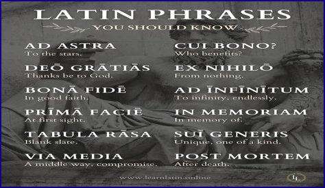 A Profile Of A Latin Beauty