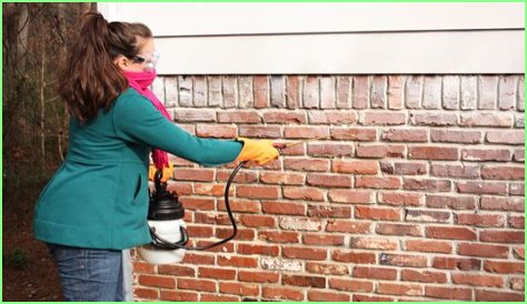 Does muriatic acid remove paint from brick?