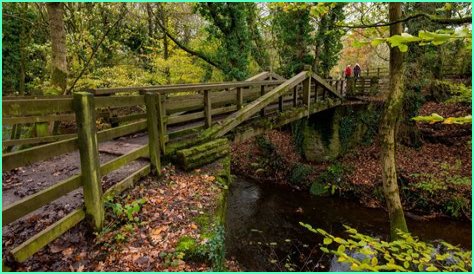Is Yarrow Valley Country Park free?