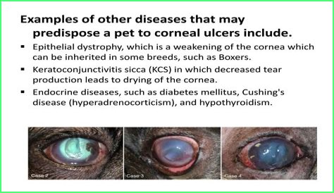 Which drugs is used for corneal ulcer?